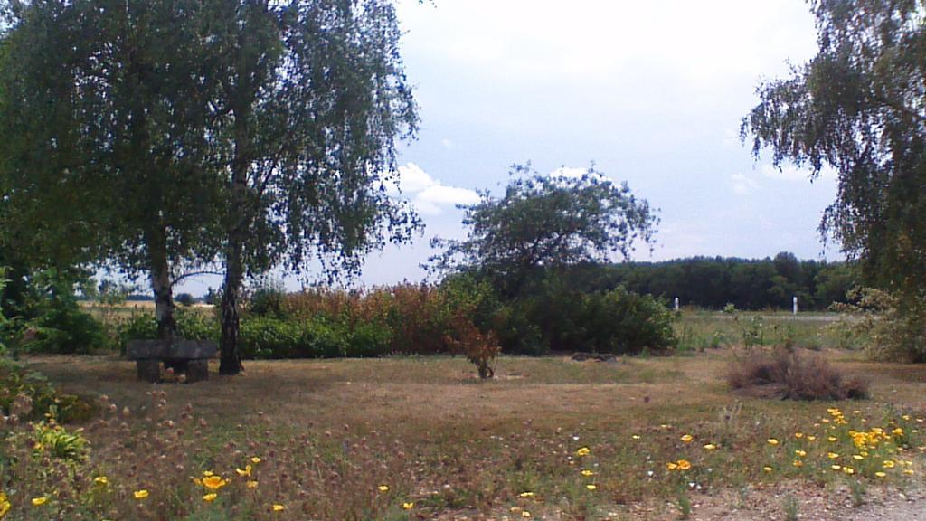 La Maladière Villa Cormeray Esterno foto